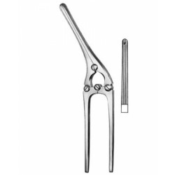 Stomach, Intes tines, Rectum